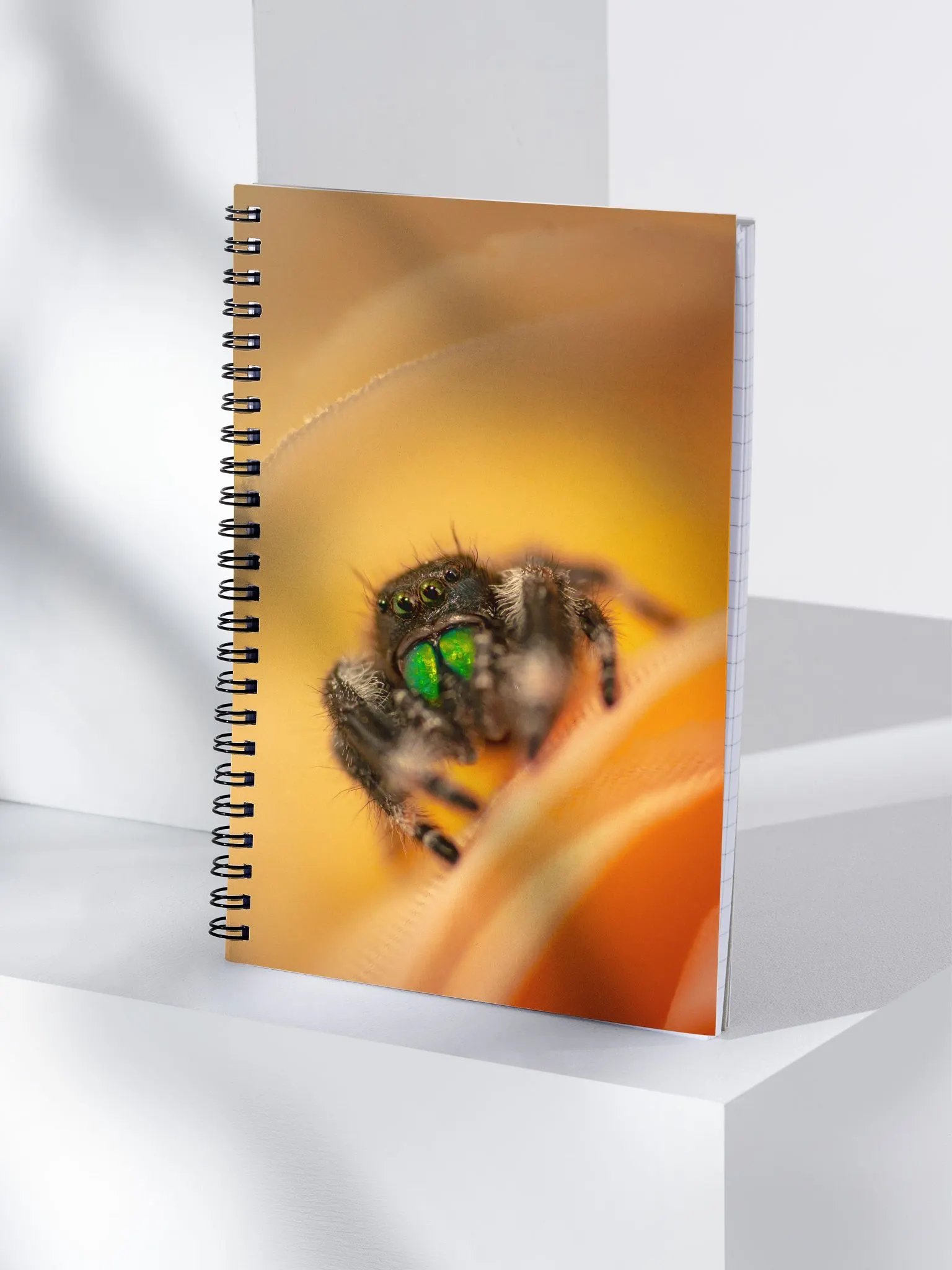 Carl's Notebook product image (3)