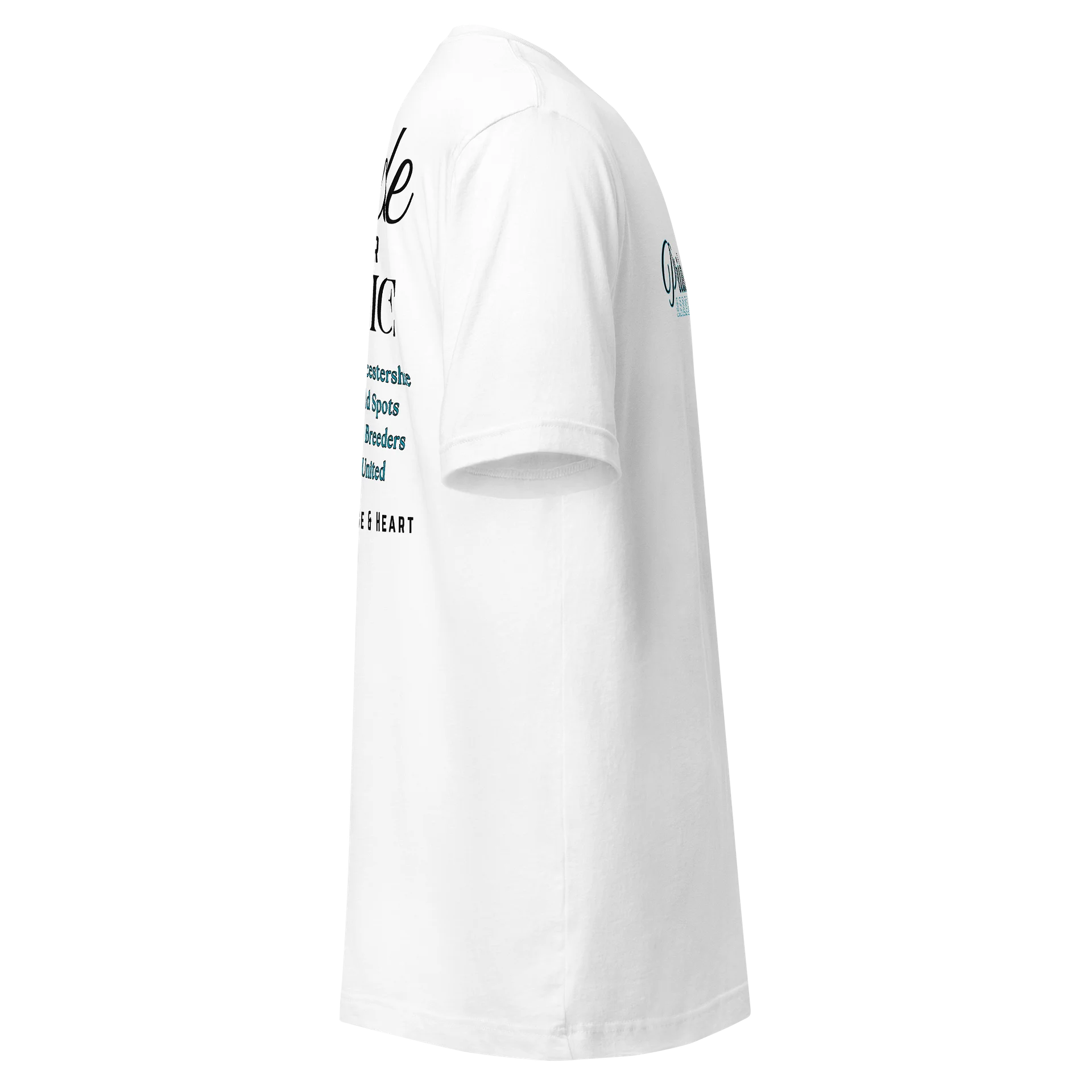 Ultimate Comfort Classic T-Shirt product image (4)