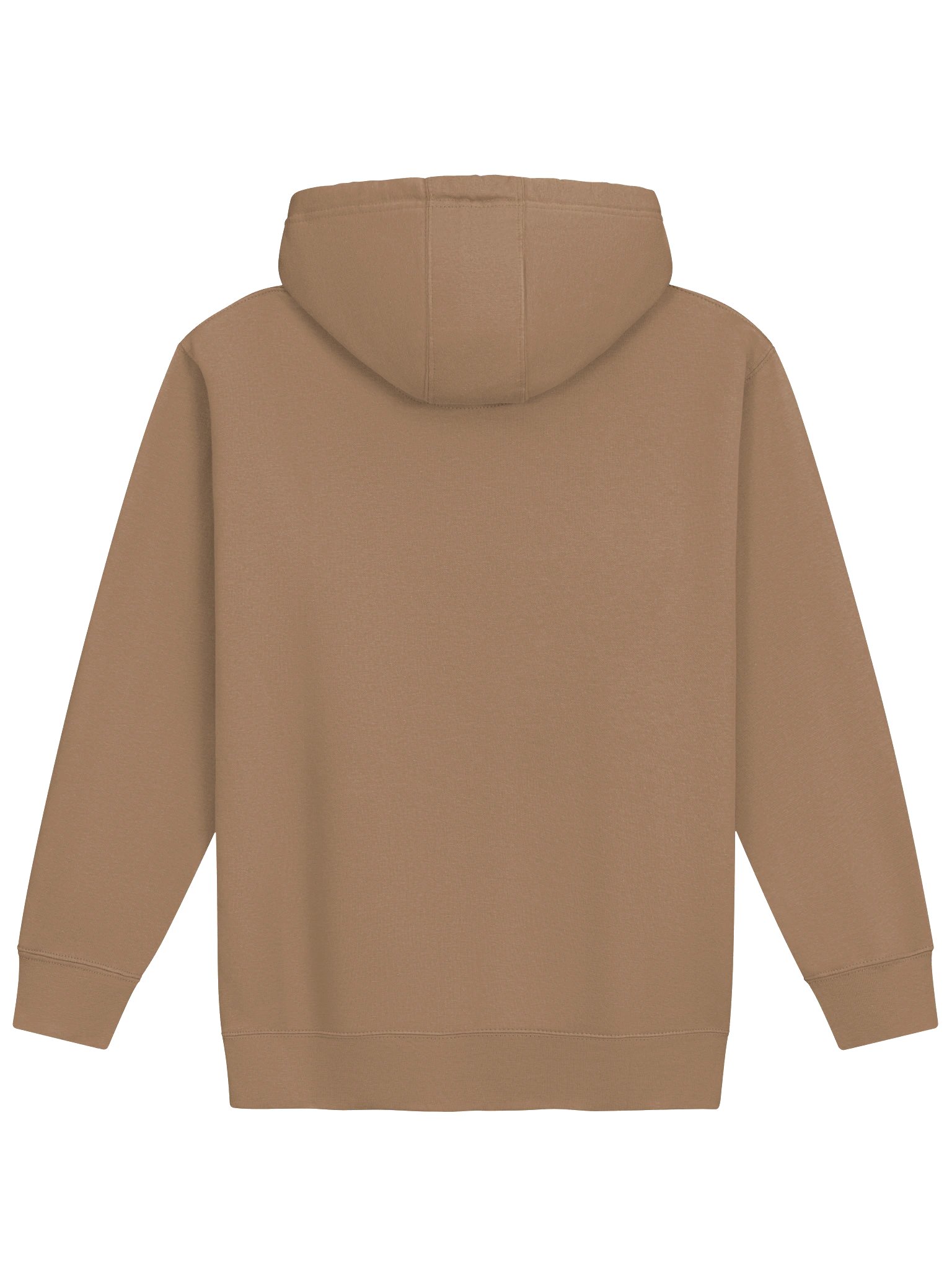 Reach For The Light (MOC) Hoodie product image (2)