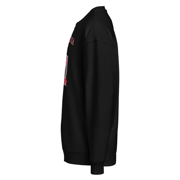 Concordia Prep - Oversized Sweatshirt product image (2)