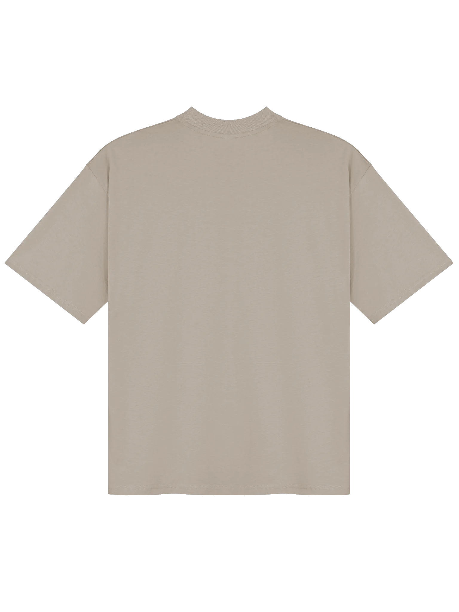 The Wisdom Est. 1953 Oversized Tee product image (3)