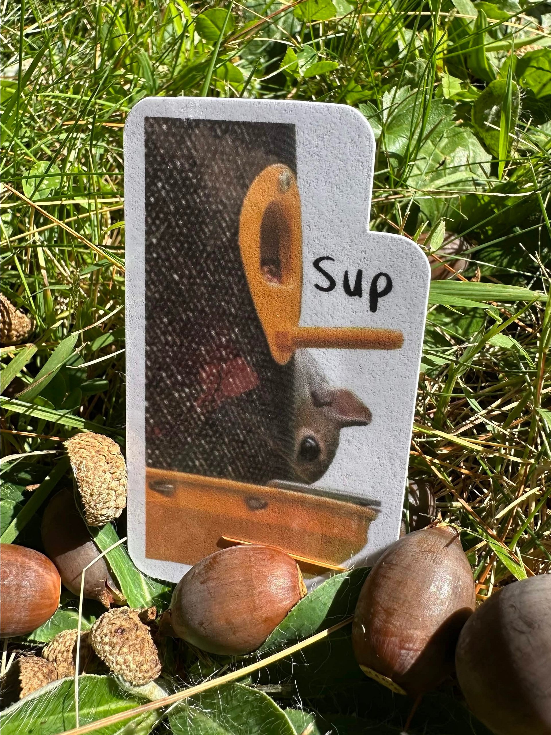 Sup Squirrel Sticker product image (2)