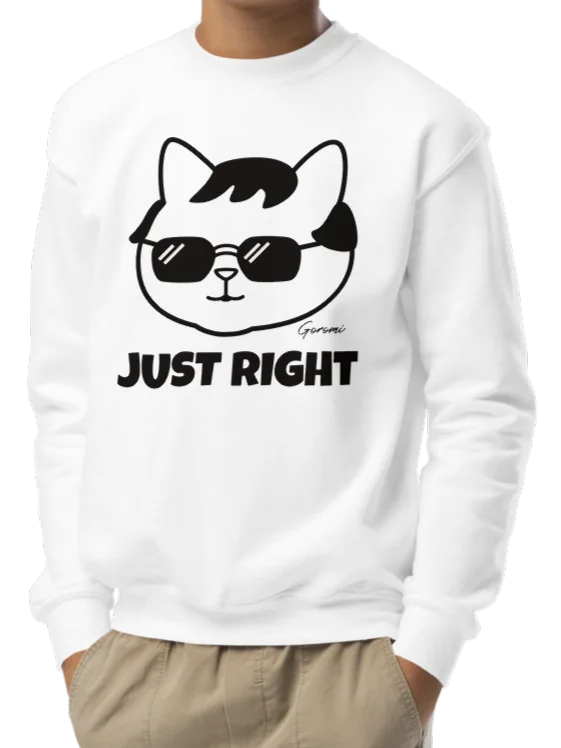 Goromi the Cat (JUST RIGHT) - Unisex Youth Sweatshirt product image (2)
