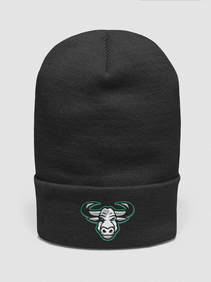 Beanie product image (1)