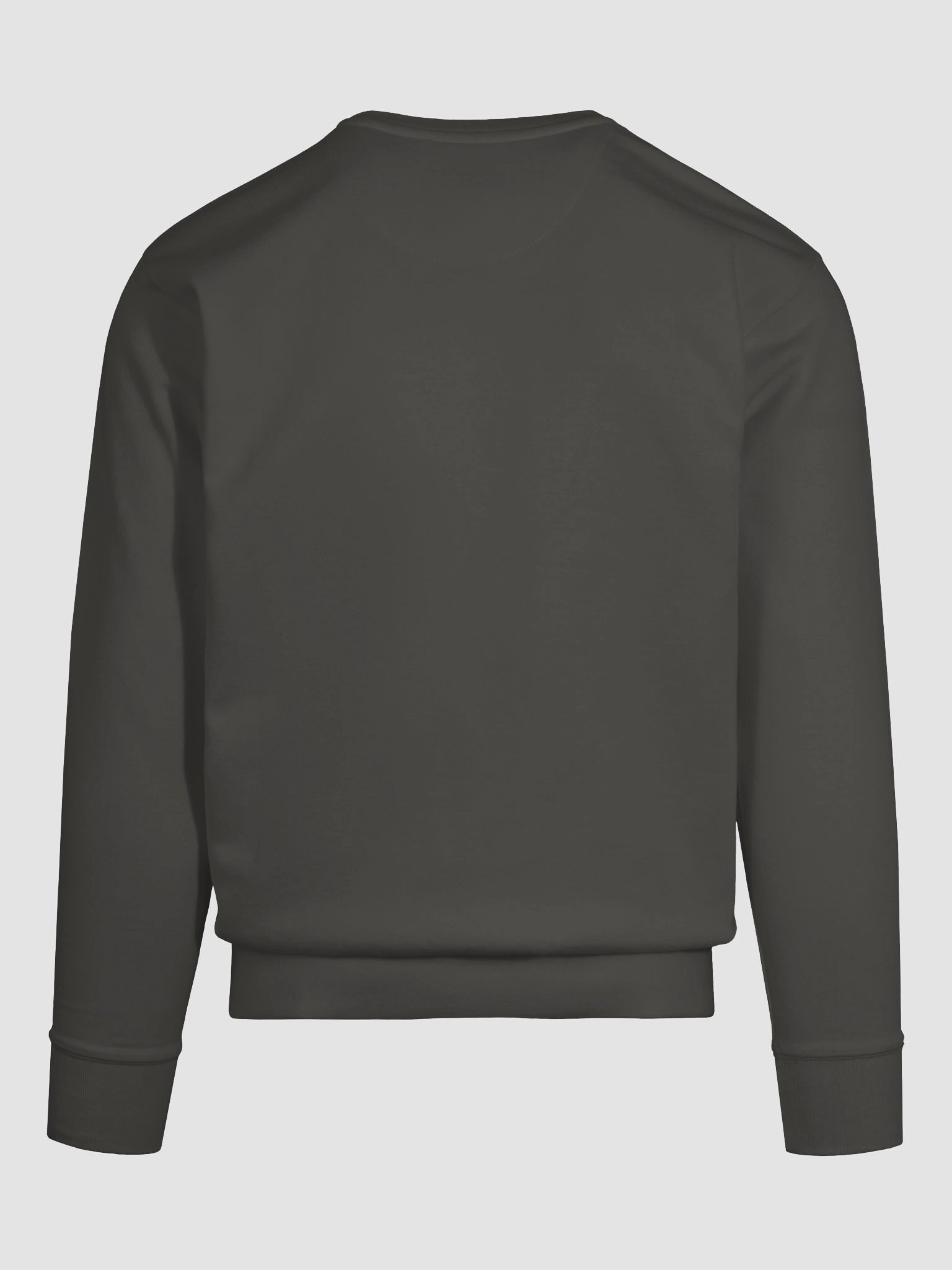 Quailman Returns! Premium Sweatshirt product image (111)