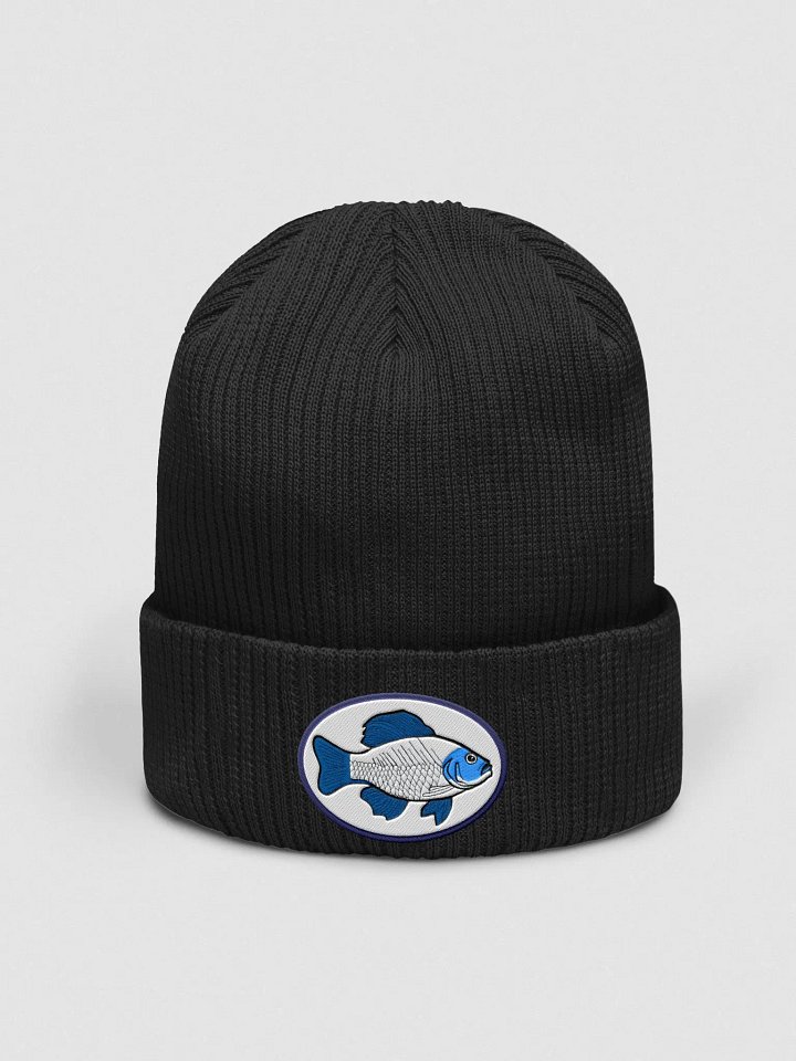 Fish Beanie product image (1)