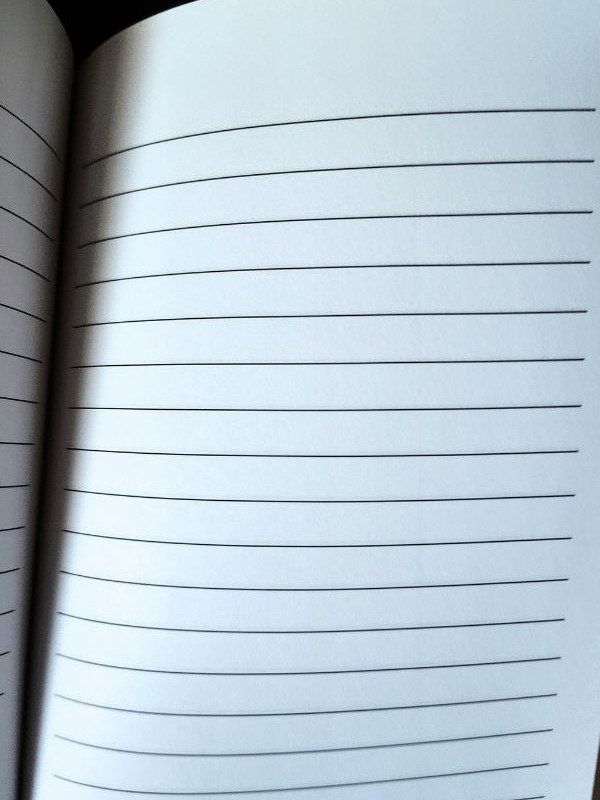 A Writer's Journal: With Plotting Guide - KOI Fish (First Edition) product image (3)
