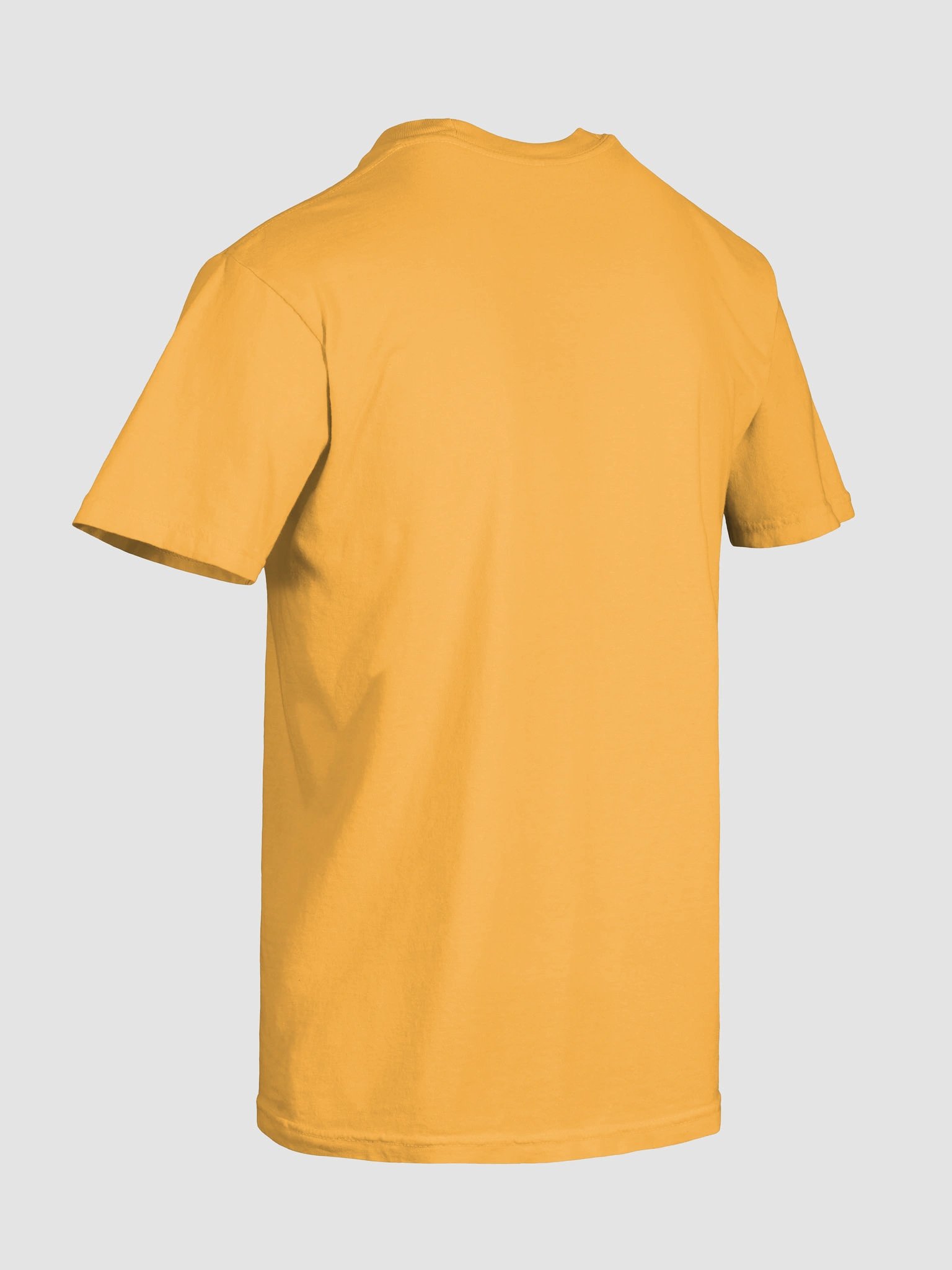 Turn2Culture Garment-Dyed Heavyweight T-Shirt product image (8)