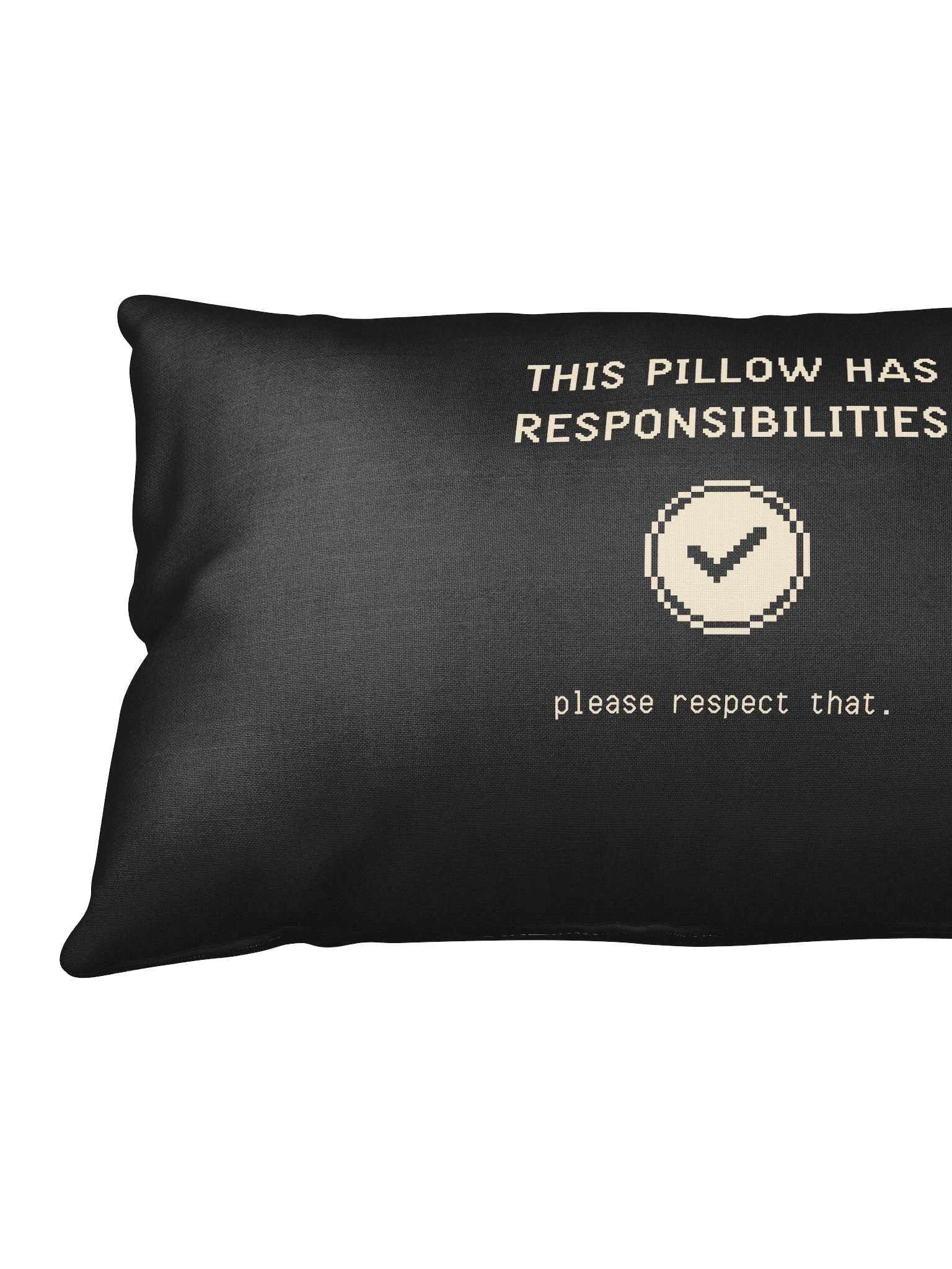 This Pillow Has Responsibilities Pillow | Chronic Pain & Spoonie Support Decor product image (3)