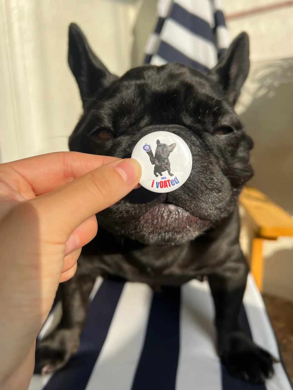 vOAT pins product image (4)