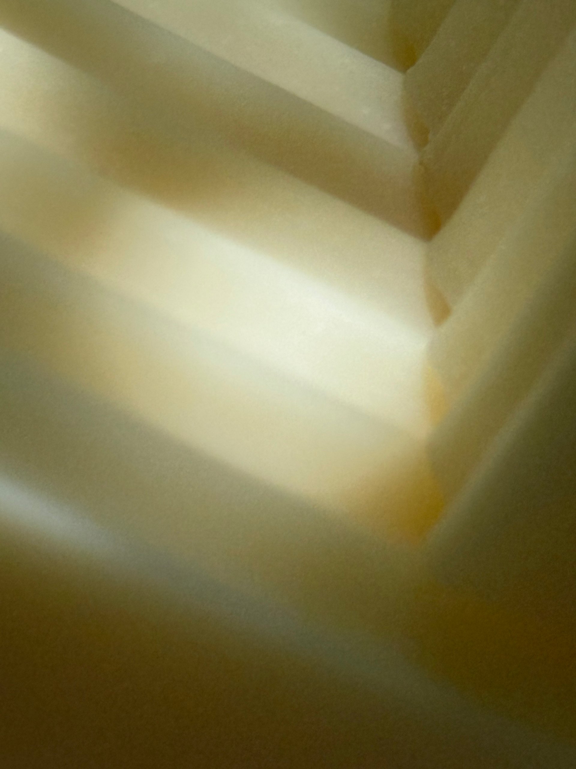 Tallow, Coconut Oil and Lavender Soap product image (2)