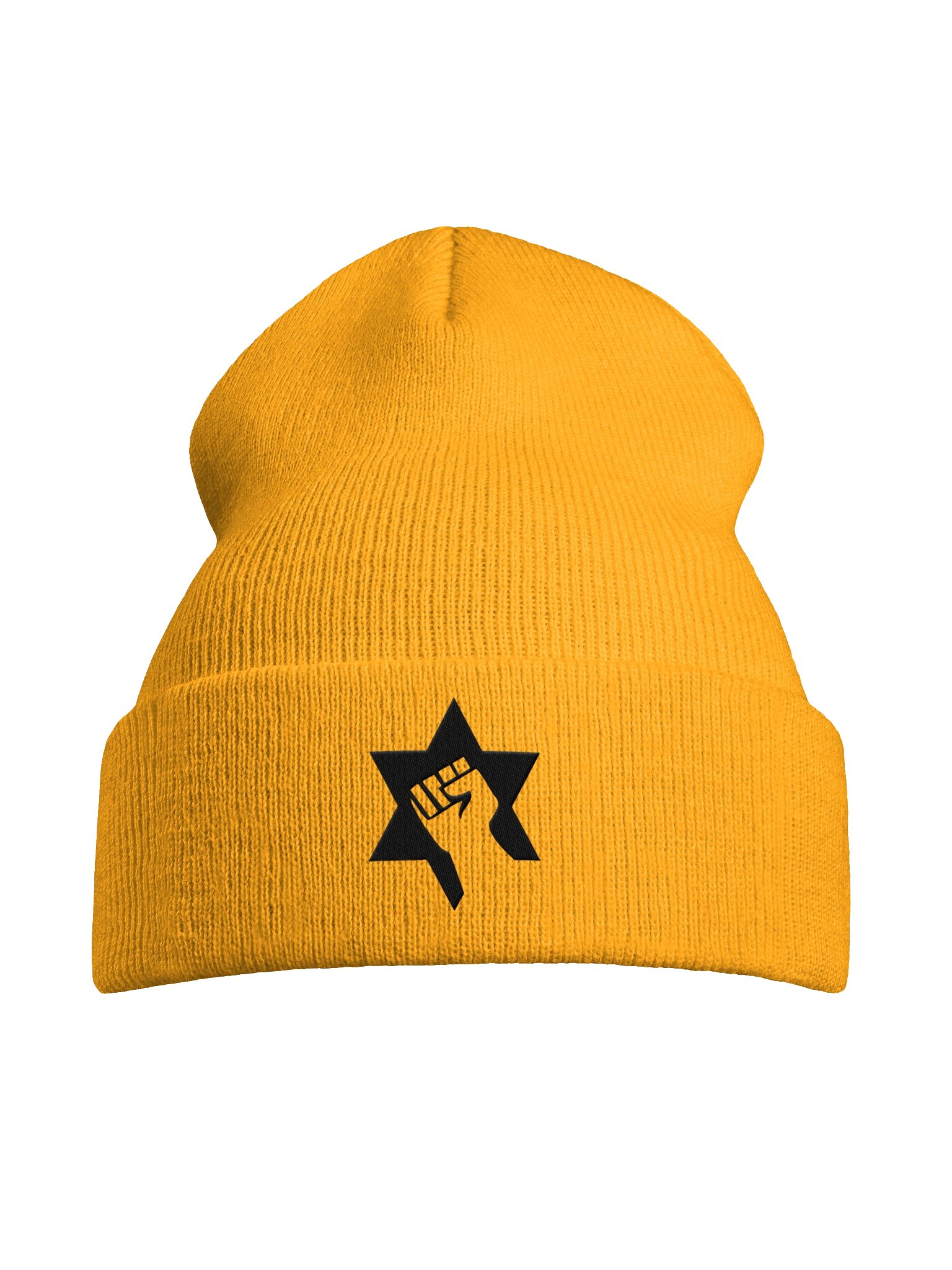 JDL LOGO BEANIE product image (7)