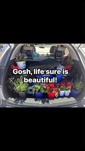 Life sure is beautiful! It’s all those little moments that make my heart burst with joy each day!  #happylife #lifeisbeautifu...