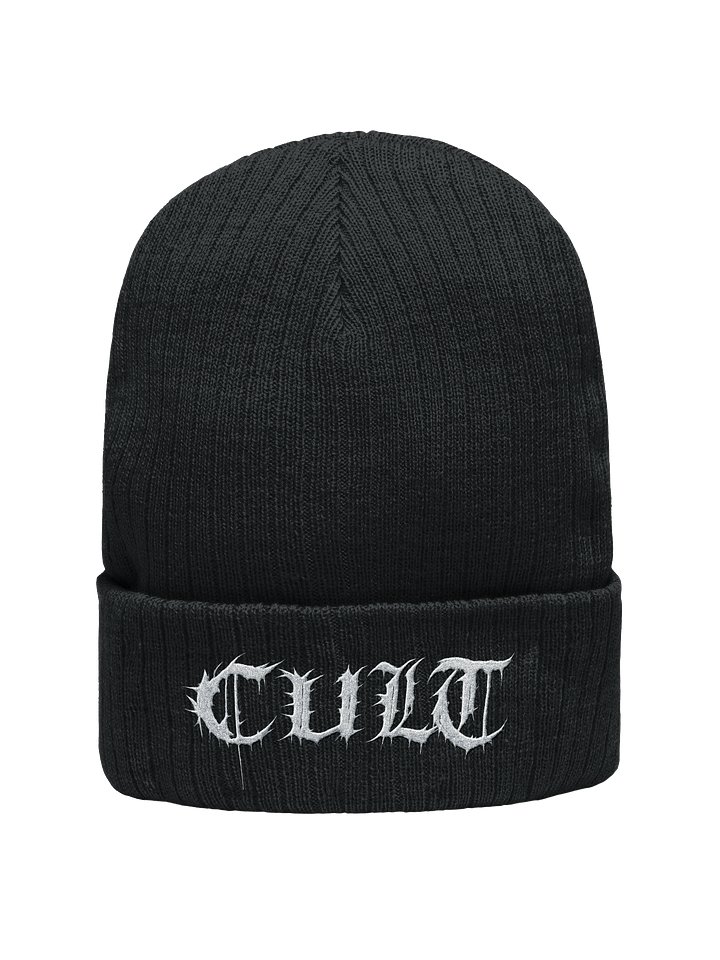 cult beanie product image (1)