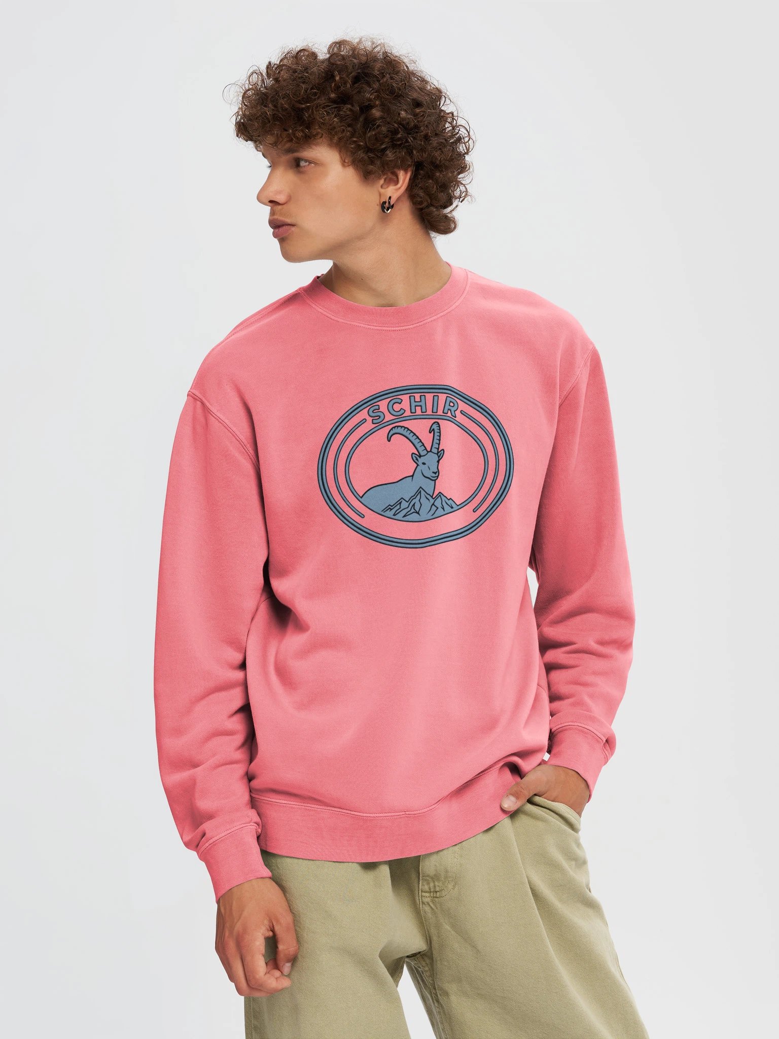 VIBES FRONT CREWNECK product image (4)