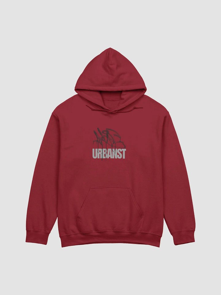 URBANIST Graffiti Signature Hoodie product image (1)