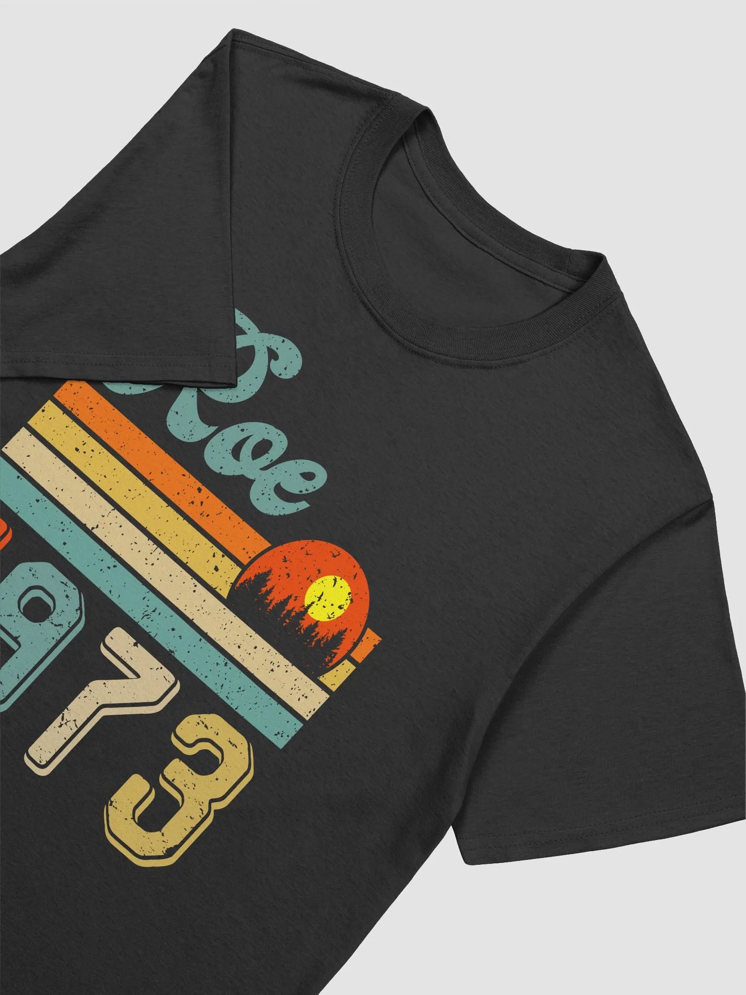 Roe 1973 Unisex Tee product image (2)
