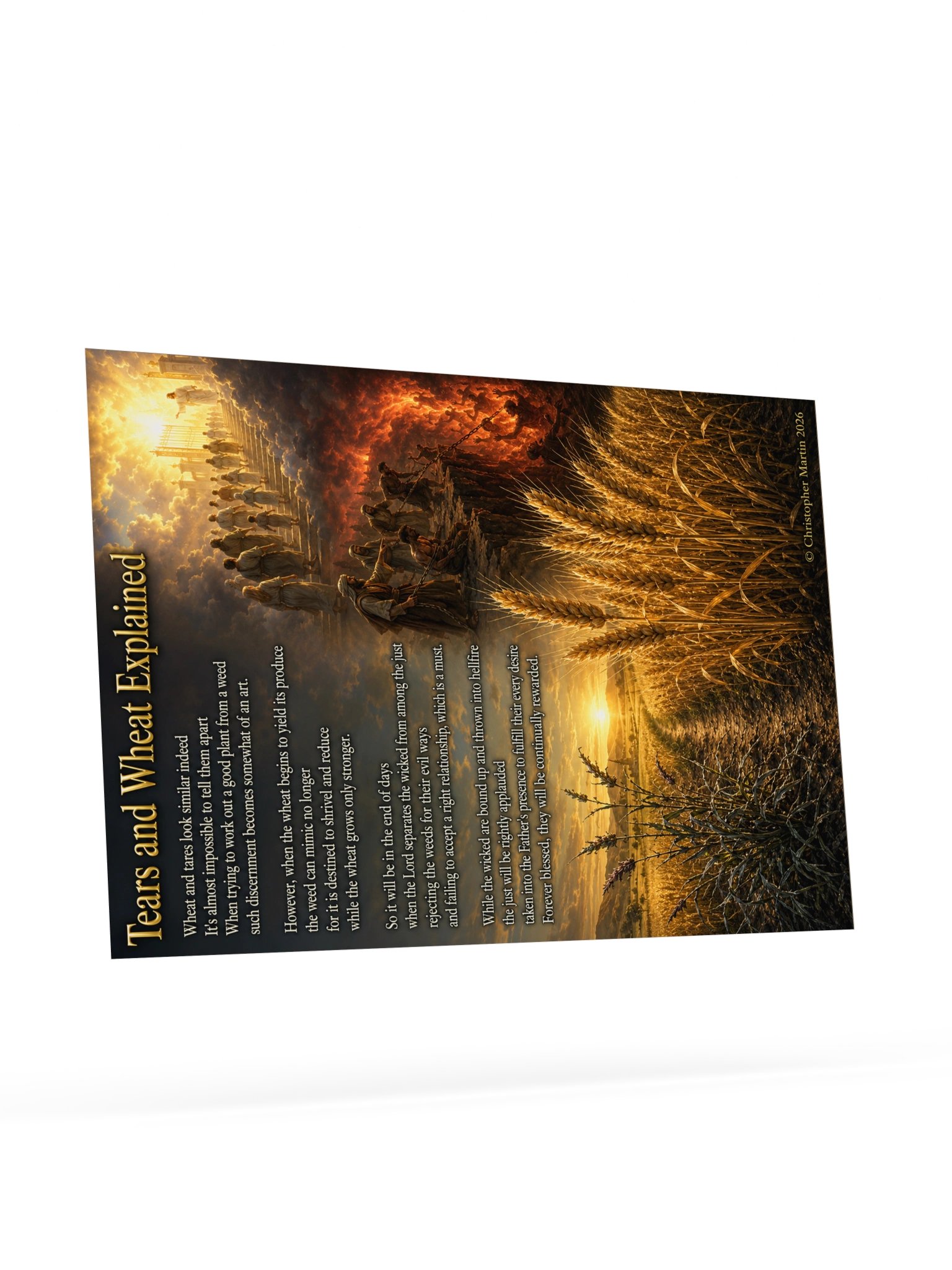 Tares and wheat explained product image (9)