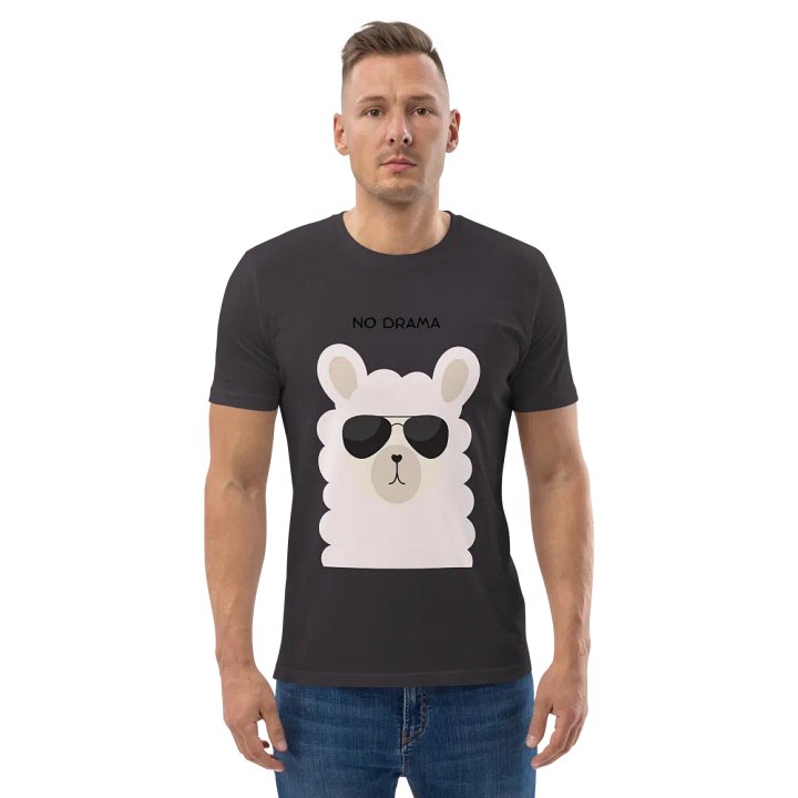 Cool Llama product image (2)