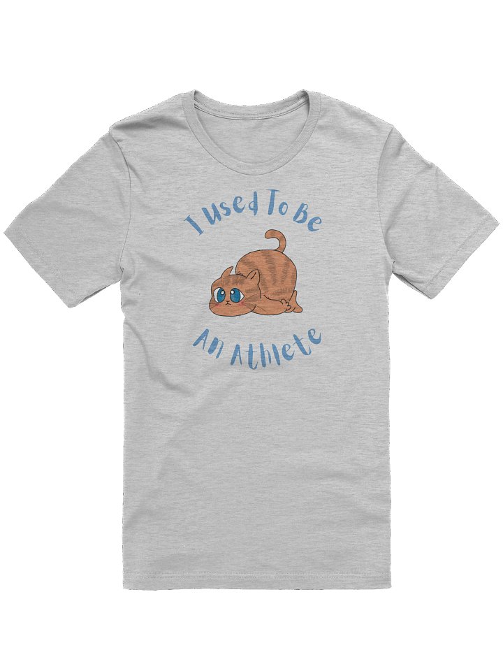 Chubby Cat Confession Tee product image (1)