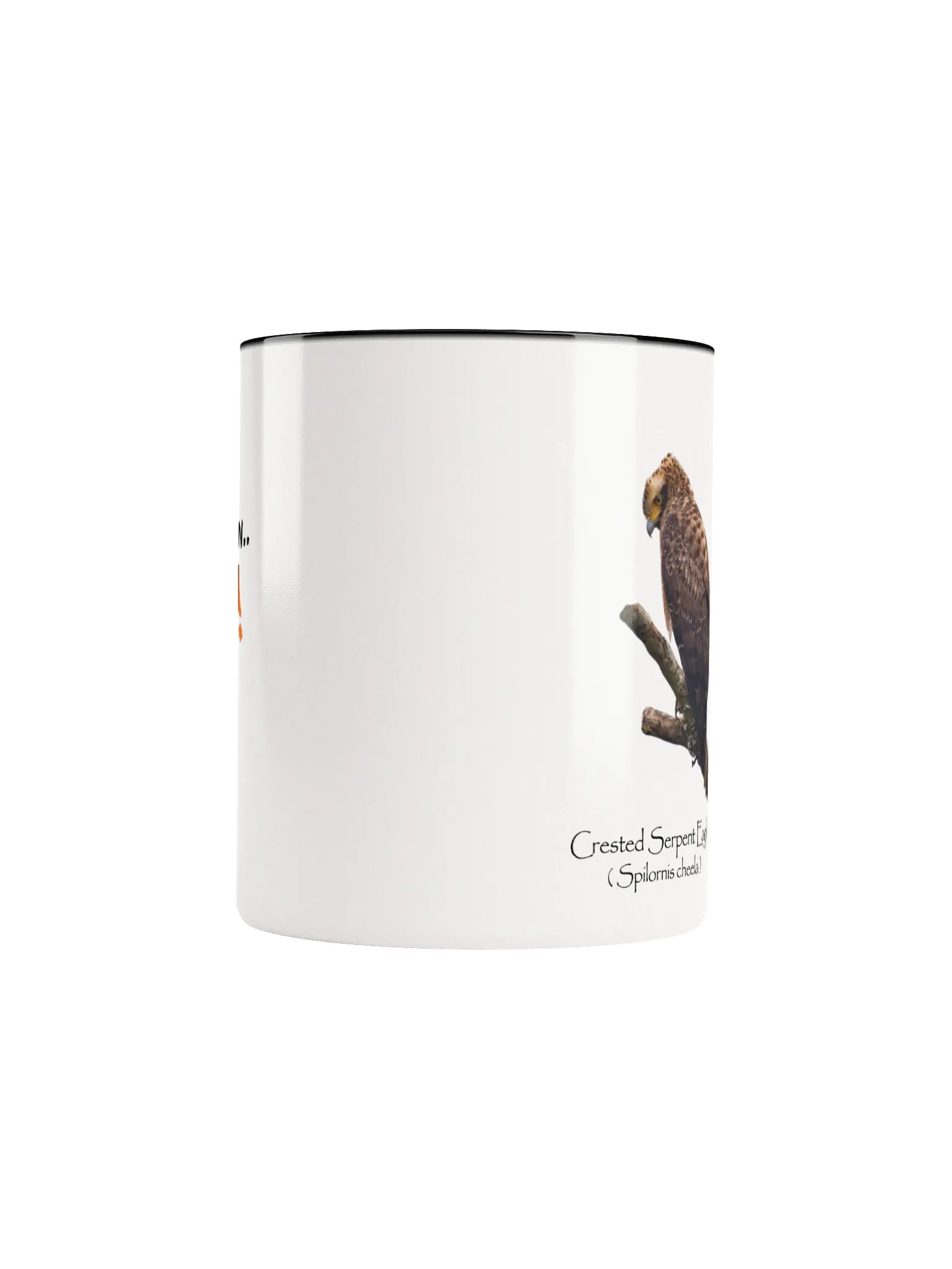 Crested Serpent Eagle mug product image (42)
