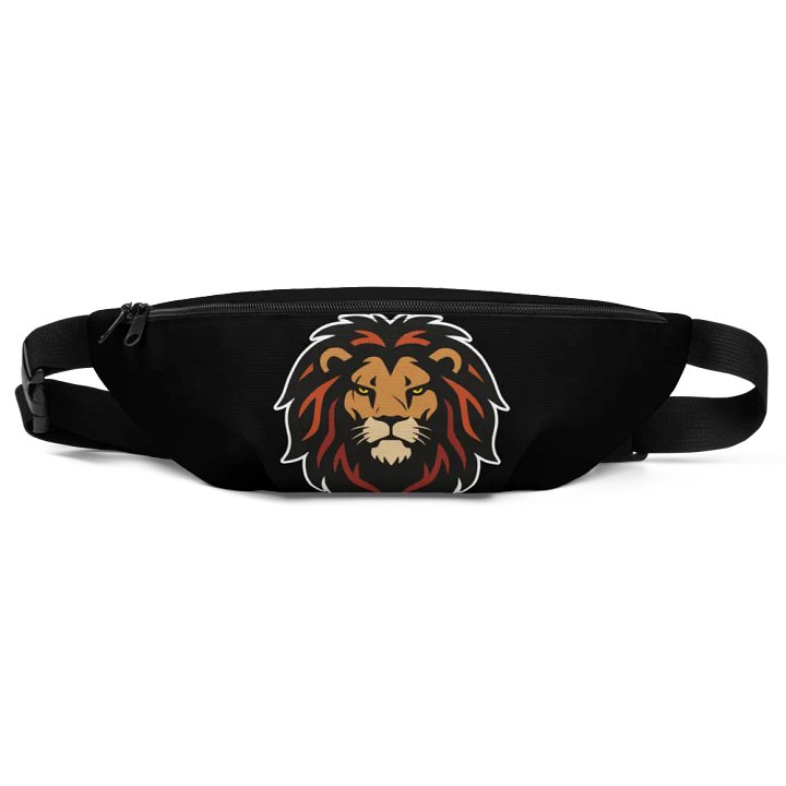 ISI ODUM Emblem Fanny Pack product image (1)