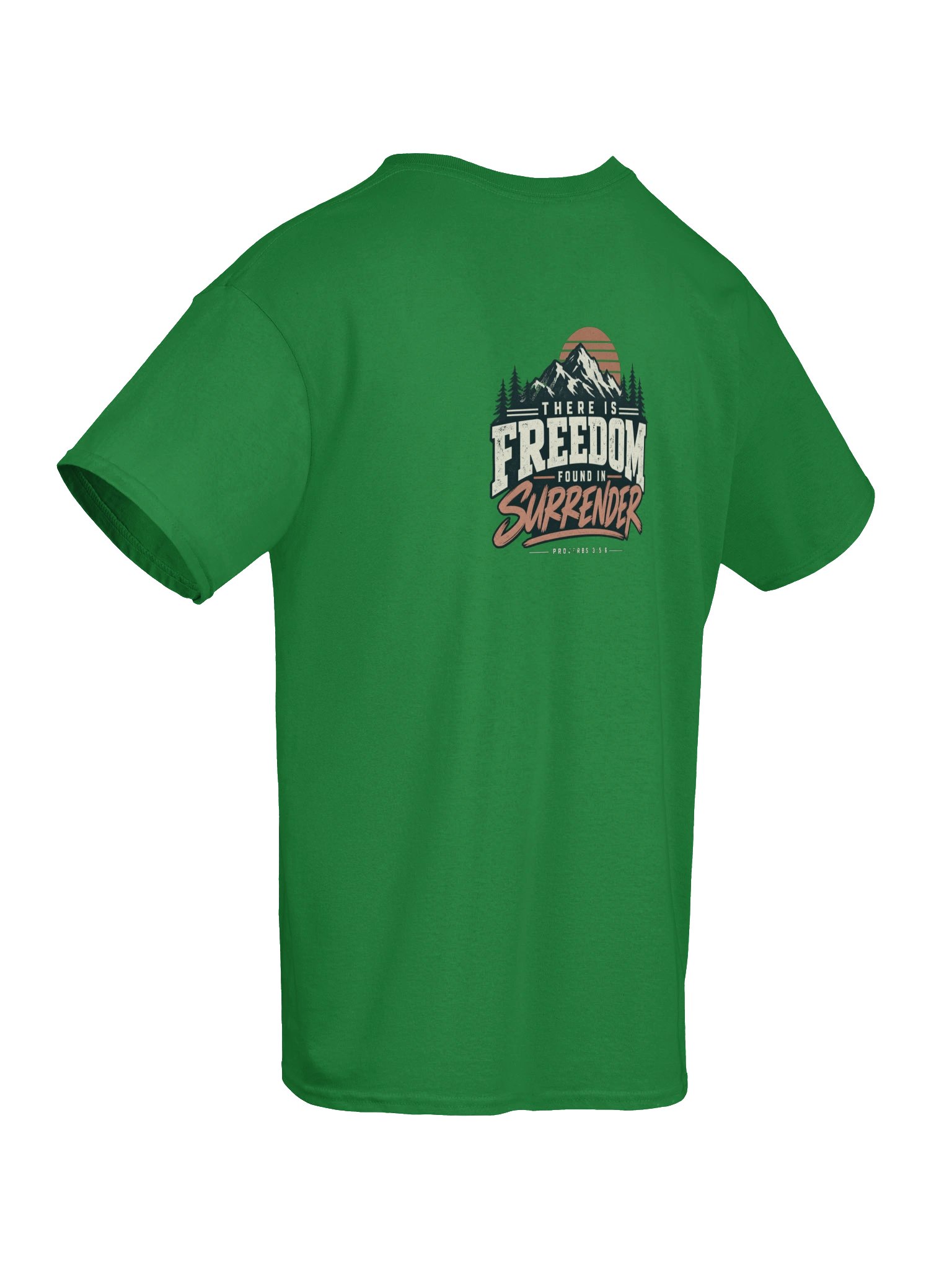 Freedom in Surrender product image (46)