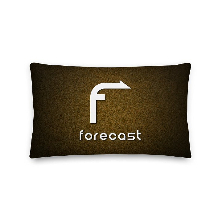 Forecast Pillow product image (2)