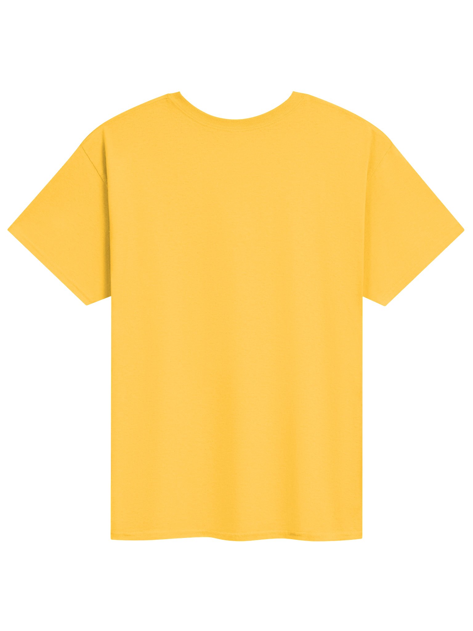 Gildan Heavyweight T-Shirt - The Donald J. Trump Strait™ product image (16)