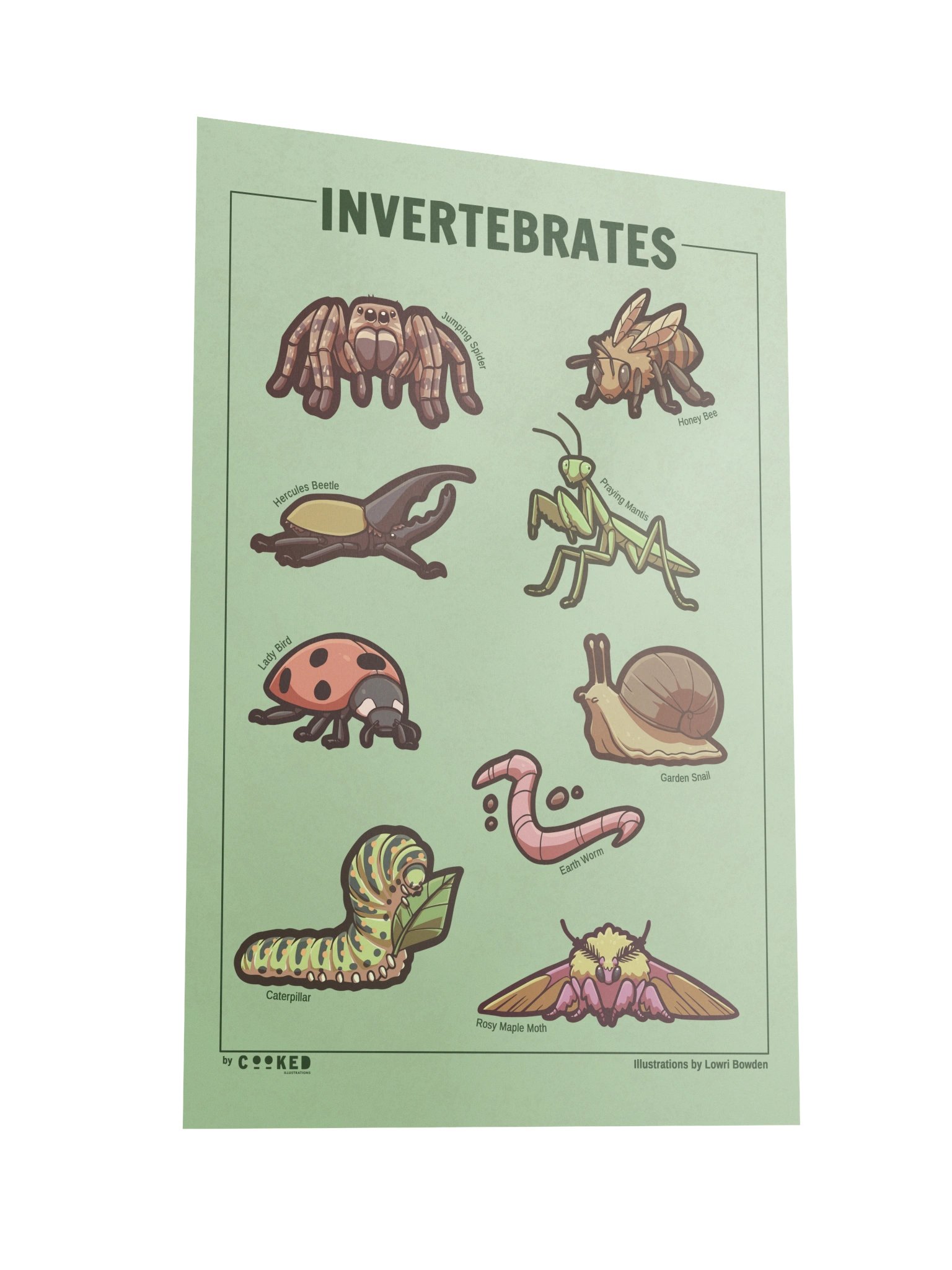 Adorable Invertebrates - 9 Invertebrate Illustrations - Original Illustrated Poster product image (4)