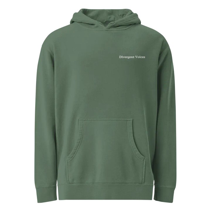 Divergent Voices Basic Embroidered Unisex Hoodie product image (1)