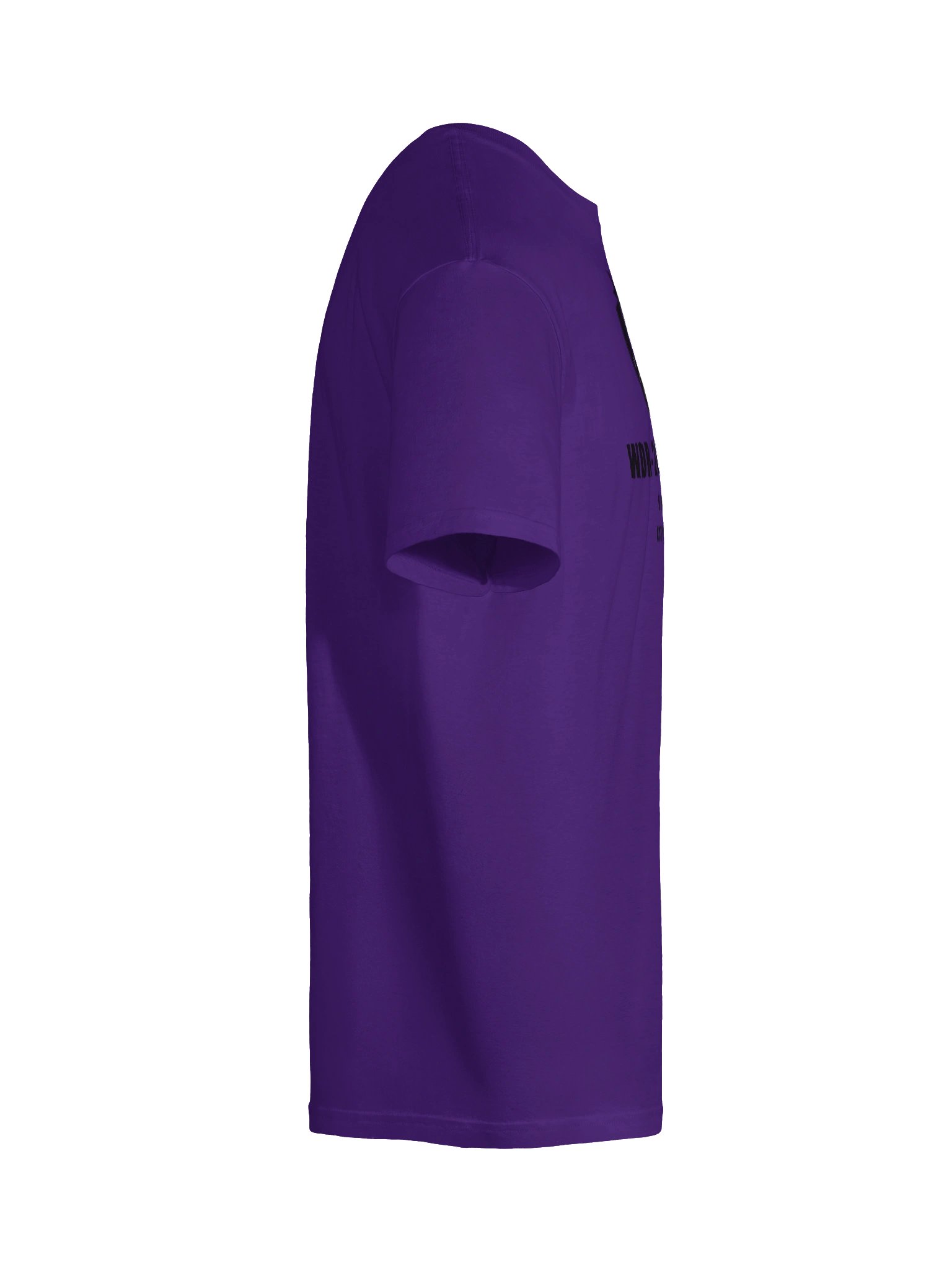 WDR-24Volt-Mod (Bright Colors) product image (91)