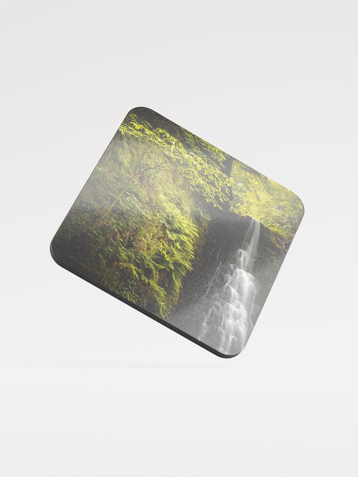 Falling Foss Sappling product image (1)