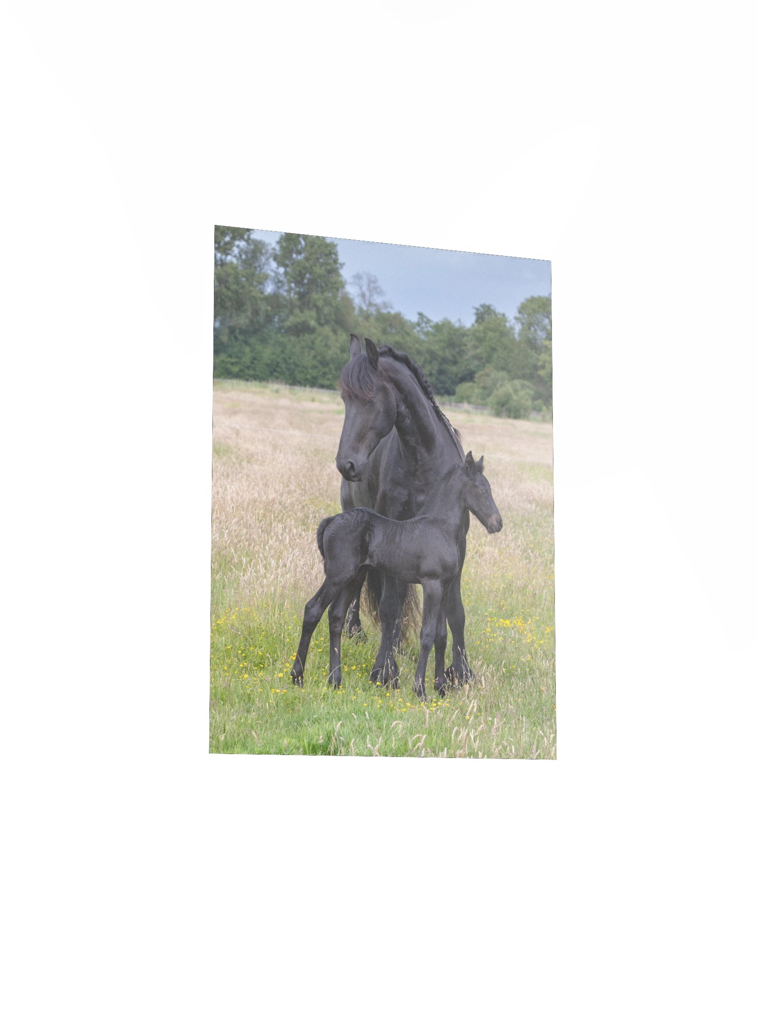 Reintje & Dolly product image (3)