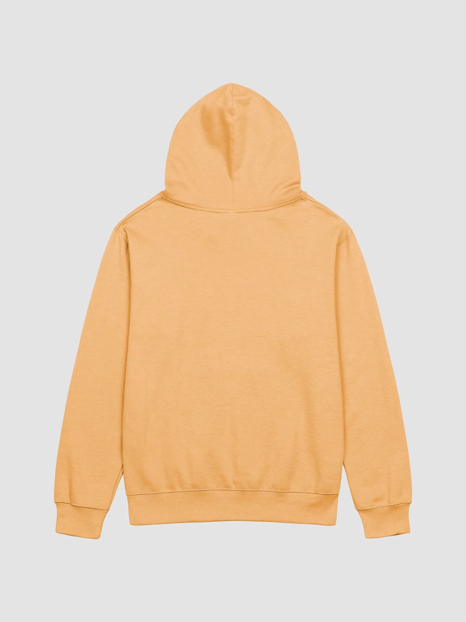 Ella es Proverbios 31:25 Hoodie product image (2)