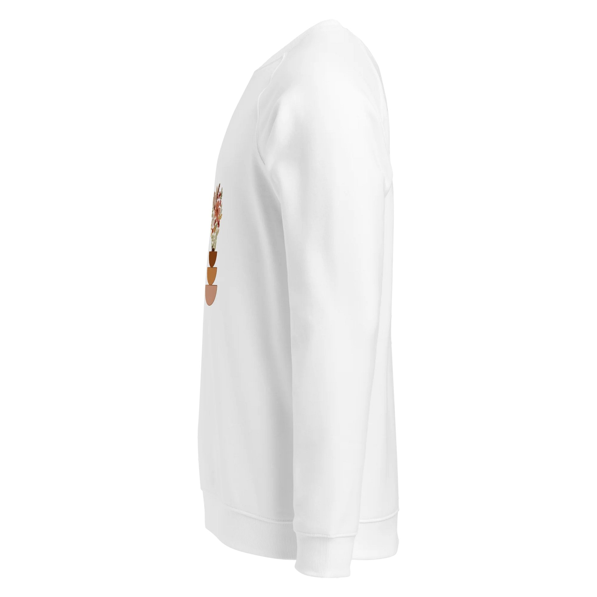 Women's Organic Raglan Sweatshirt ORFB0128 product image (4)
