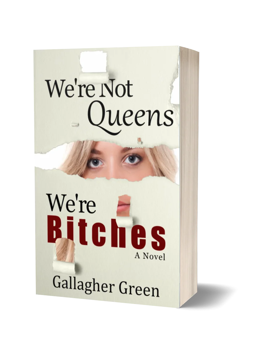 We're Not Queens, We're Bitches: A Novel product image (1)