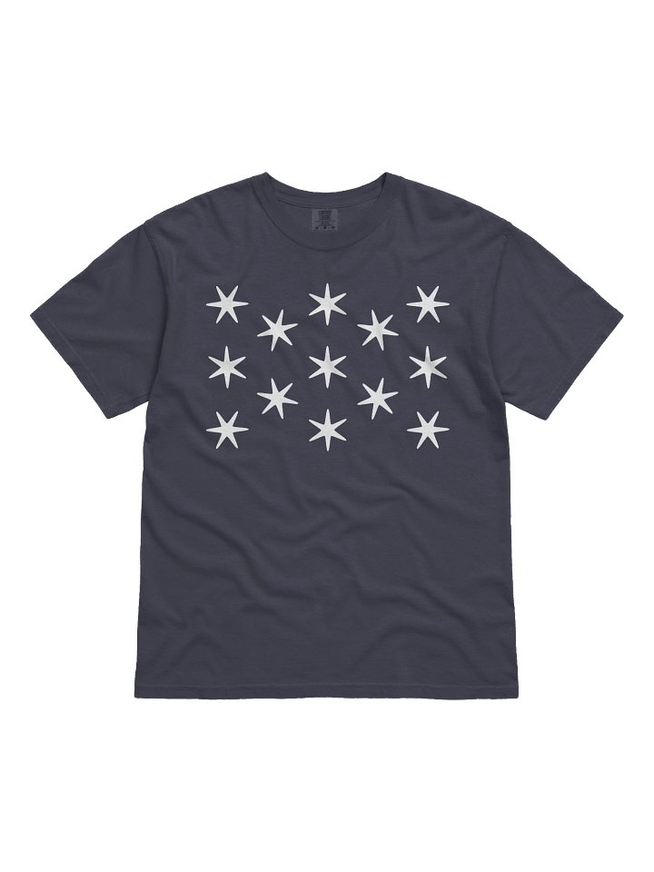 Washington Standard T-shirt product image (1)