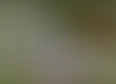 Project Zomboid's tag thumbnail