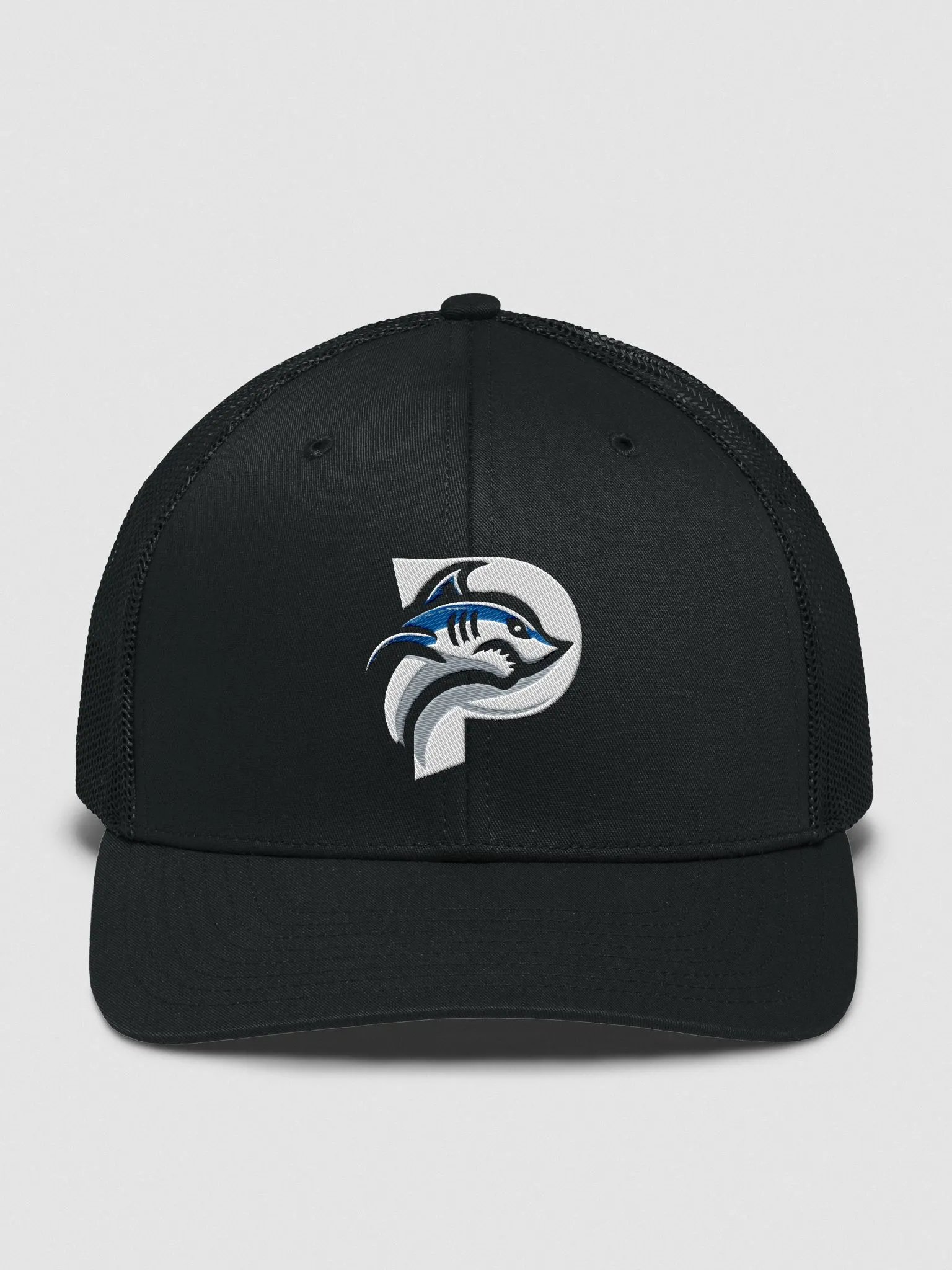 Paytonics Logo SnapBack Hat! product image (4)