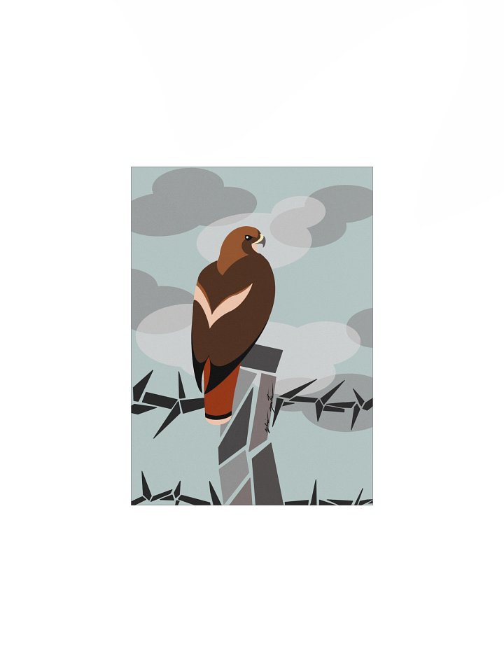 Abstract Birds: Red-tailed Hawk product image (1)