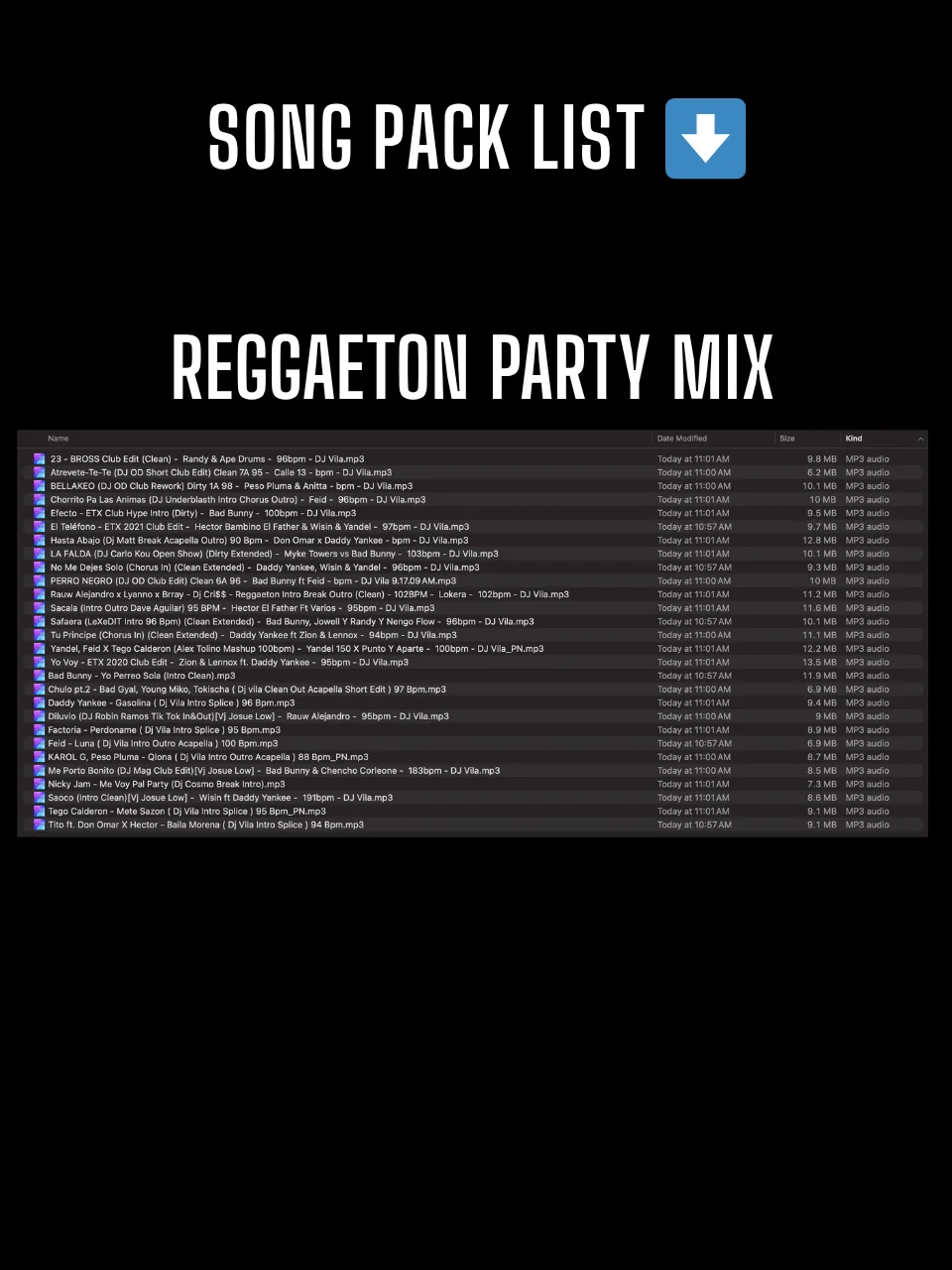 Reggaeton Party Mix – Song Pack product image (2)