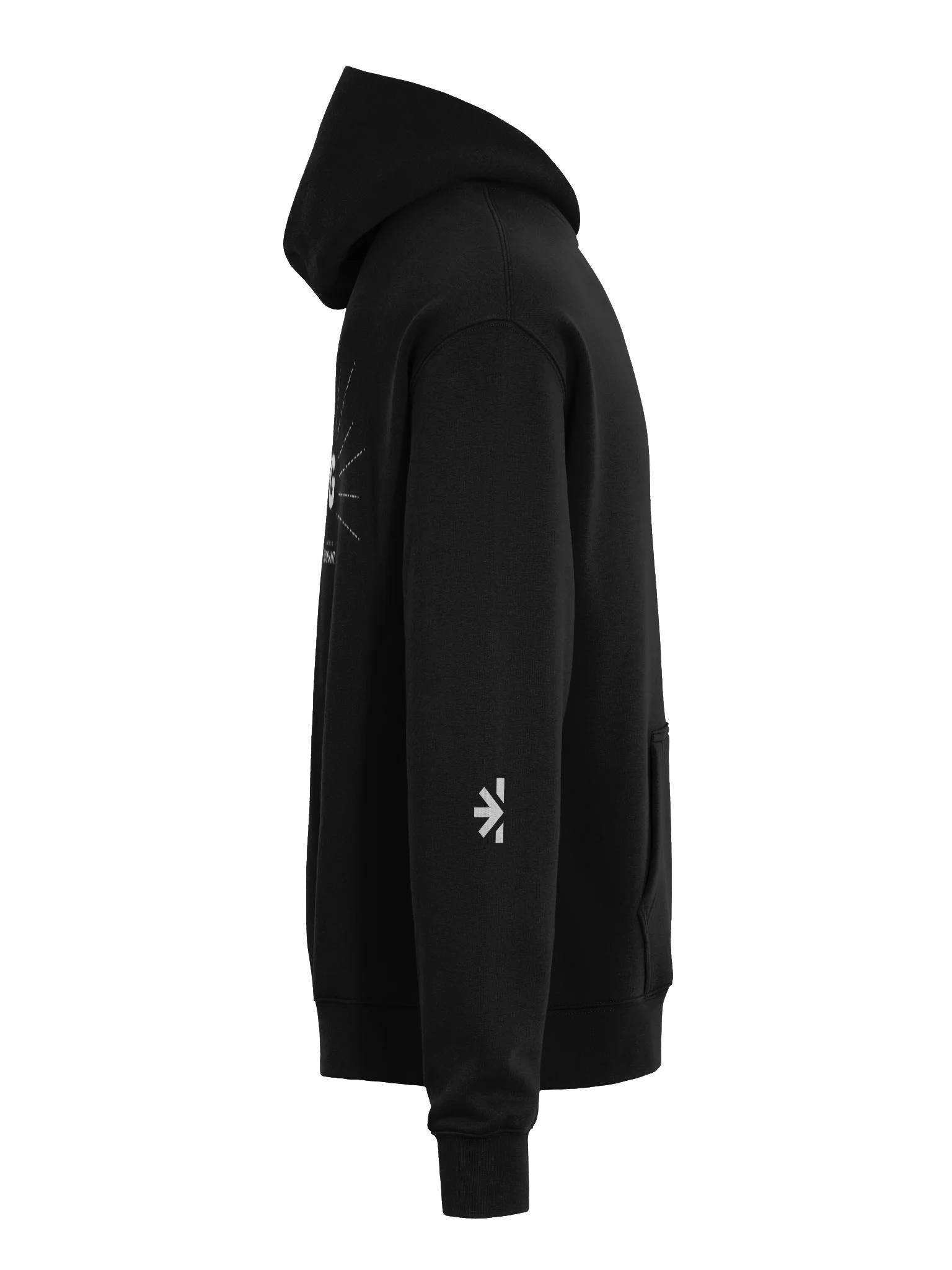 Sell It 25 The Next Big Thing Hoodie product image (5)