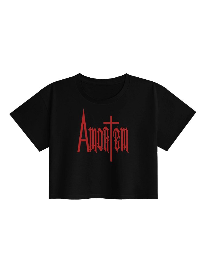 Amortem Crop Top product image (1)