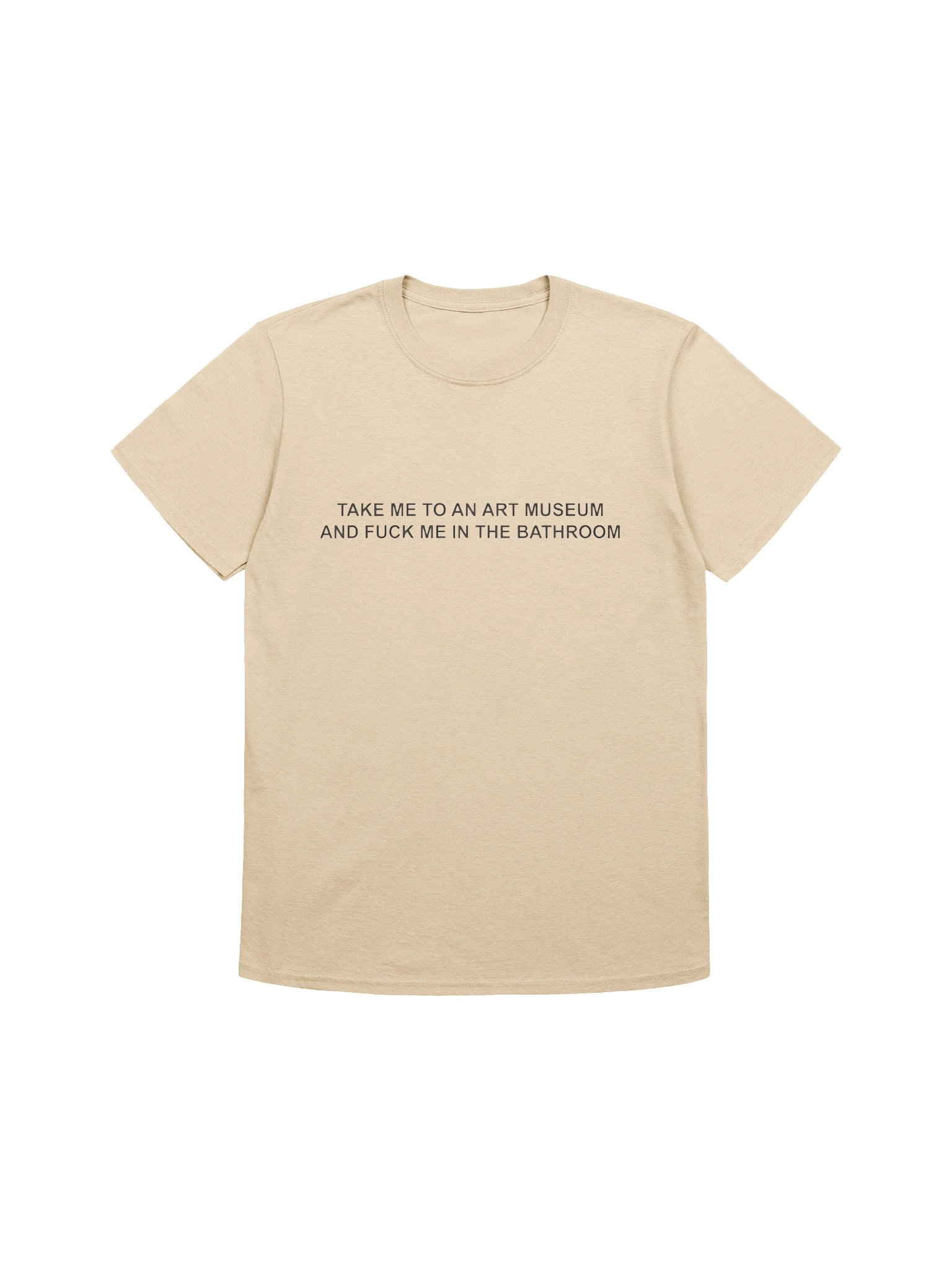 Take Me To An Art Museum And Fuck Me In The Bathroom Shirt product image (1)