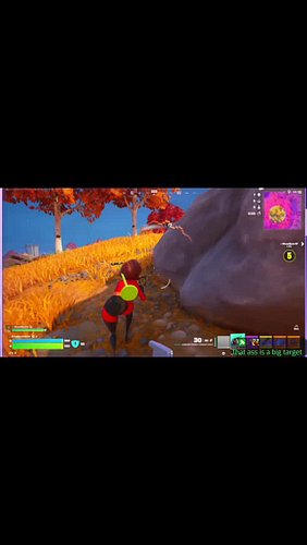 Tiktok saw it first 😛 #twitch #smallstreamer #fortniteclips #fortnite