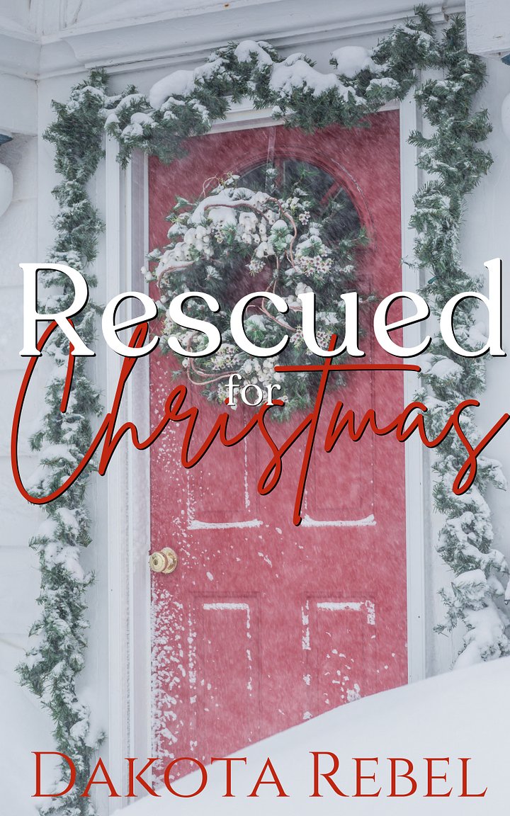 Rescued for Christmas - A Closed Door Insta-Love Novella product image (1)