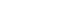 StinsBlox