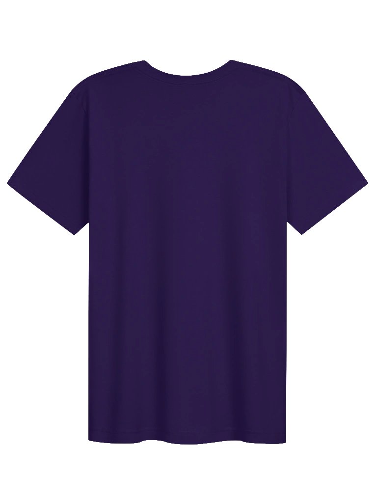 "I'm only hear to hold the Frequency" Meme Shirt product image (62)