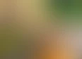 Season 4's tag thumbnail